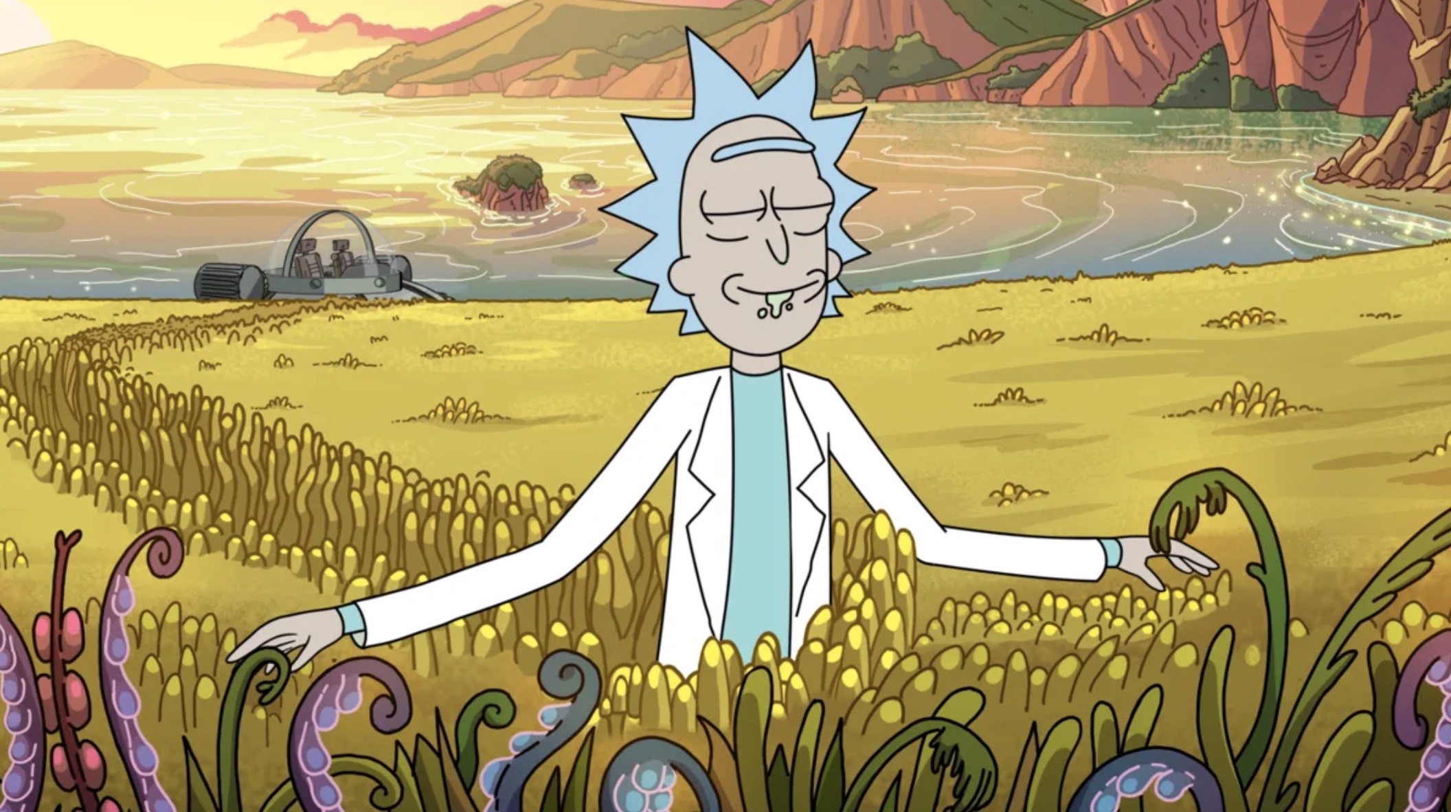 Rick And Morty Season 5 Rumors And New Changes Tech News And Discoveries Henri Le Chart Noir