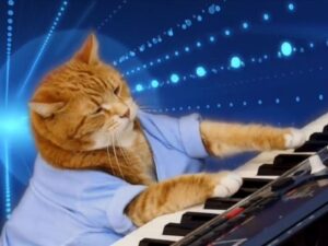 keyboard cat Most Famous Cats on the Internet