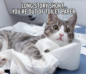 Cat got into the toilet paper meme